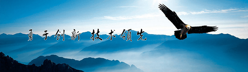 勇于创新 技术领先